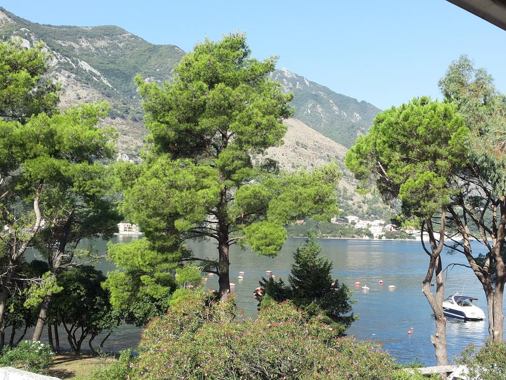 Apartments Vojvoda Kotor Bilik gambar